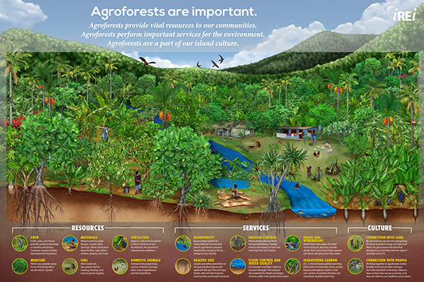 Agroforests are important