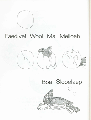 Faediyel wool ma melloah boa slooelaep