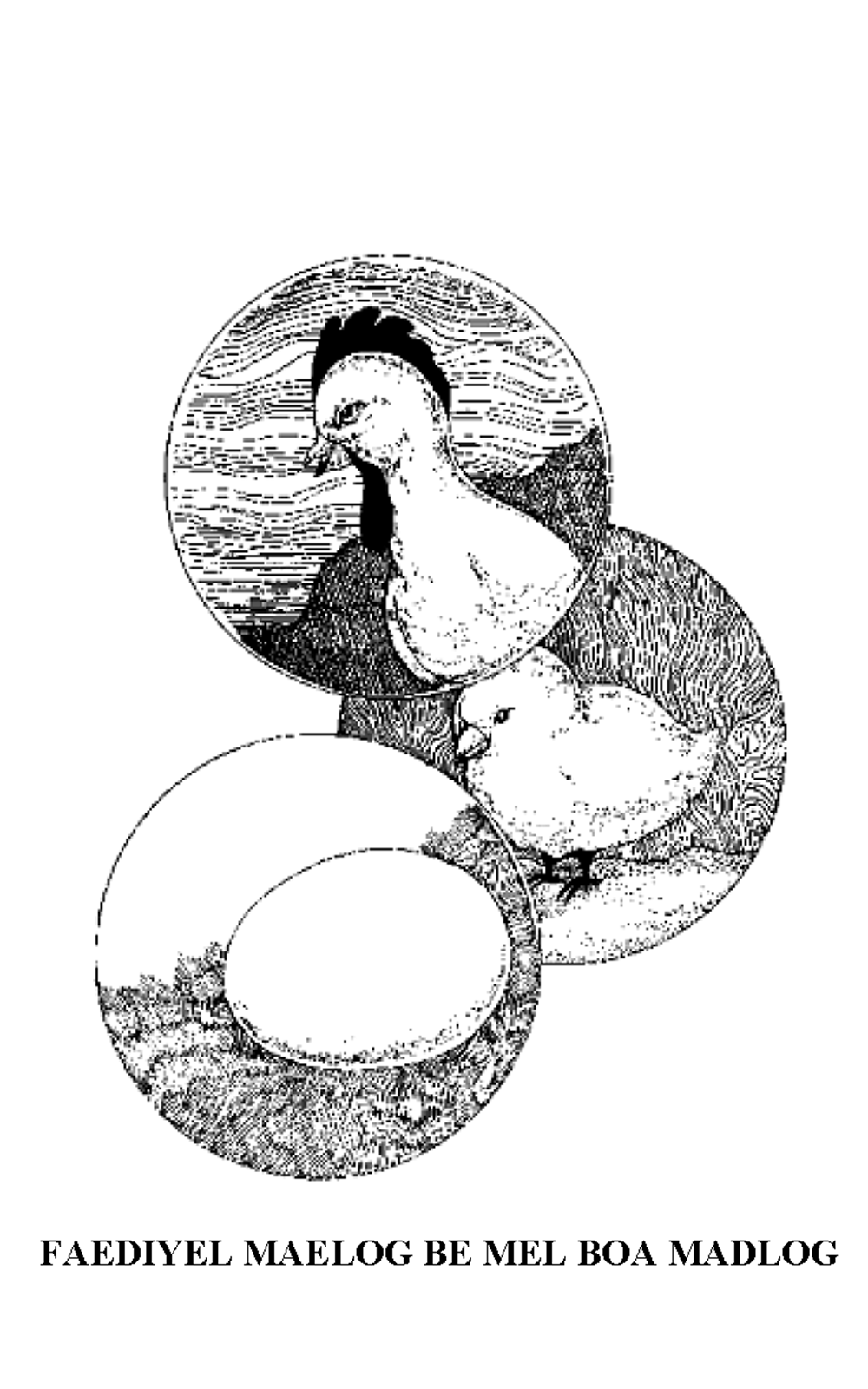 Faediyel maelog be mel boa maelog